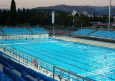 Montenegro – Podgorica – Water Polo World Championship Fina – 2009